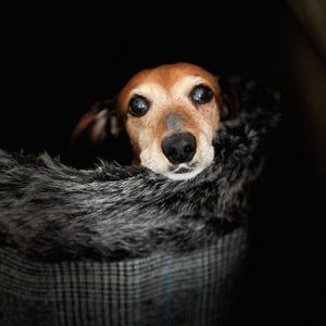 Meet your Posher, Sabina